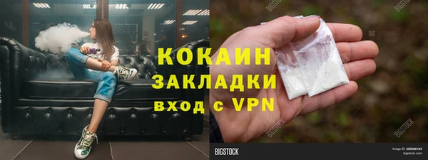 apvp Горняк