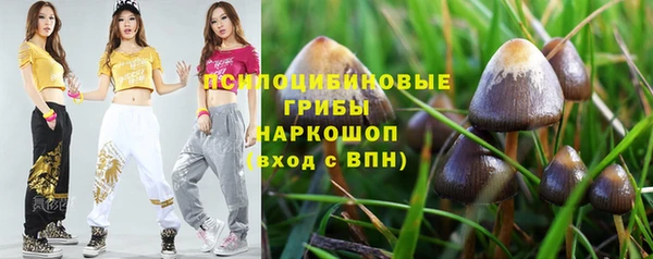 apvp Горняк