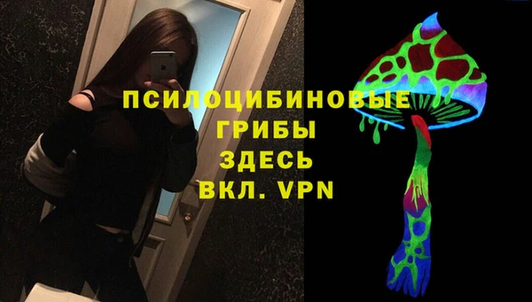 apvp Горняк