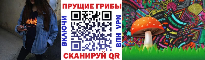 Купить  Гусев  Галлюциногенные грибы Cubensis 