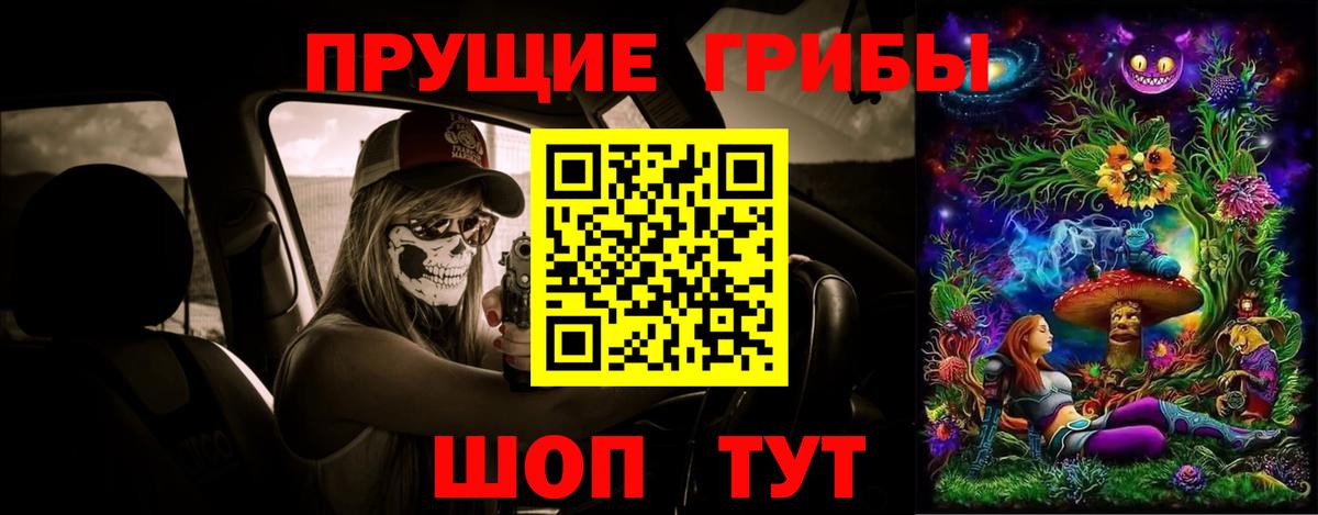 Псилоцибиновые грибы прущие грибы  Гусев  Галлюциногенные грибы мухоморы 