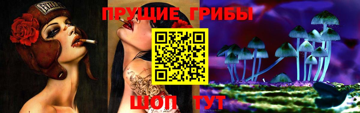 Гусев  Псилоцибиновые грибы мицелий  Вход с VPN 