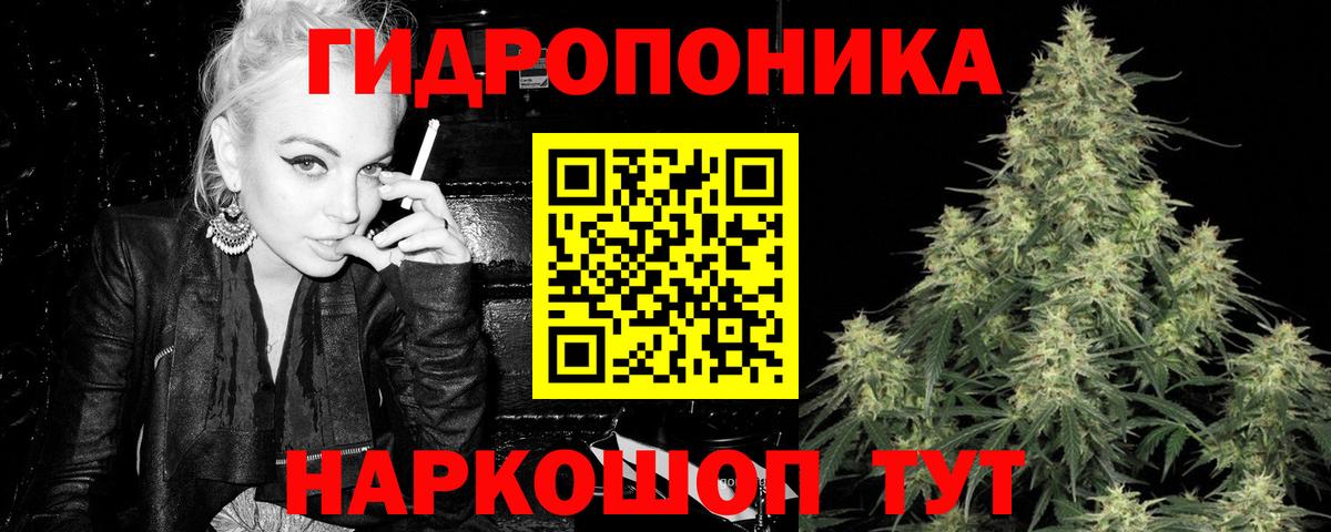 Марихуана планчик  Гусев  Бошки Шишки OG Kush 