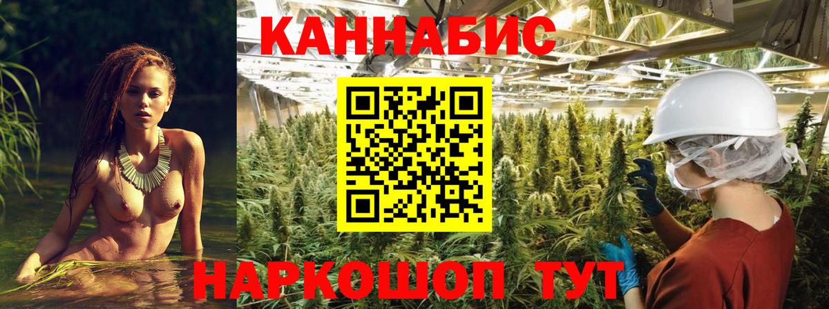 Каннабис White Widow Гусев
